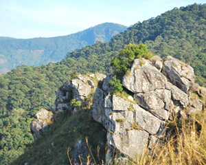 Nilgiris-Berge ATP